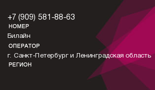 9095818863